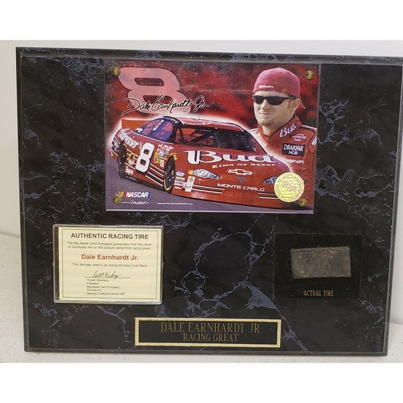 Dale Earnhardt Jr #8 Racing Great Wall Plaques Authentic Race Tire Winston Cup - Picture 1 of 5